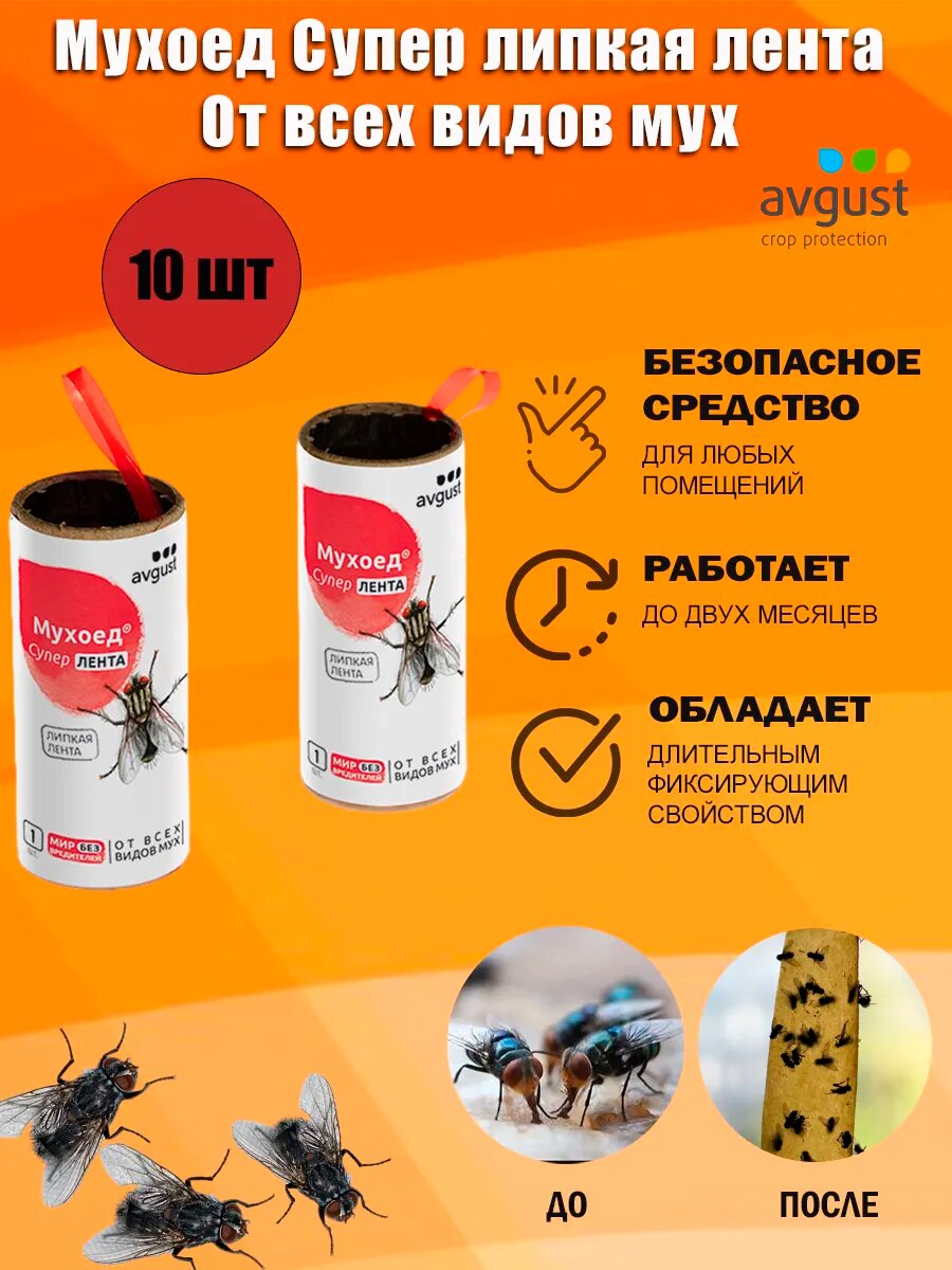 Лента Avgust 
