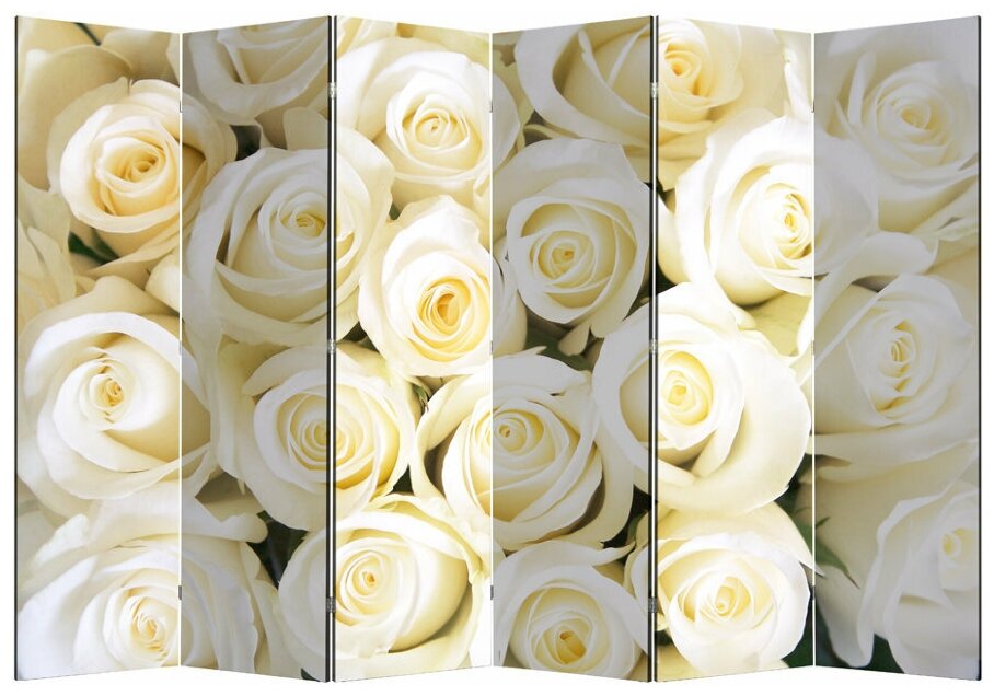 Ширма"Белые розы", 200 ? 160 см . - фотография № 1