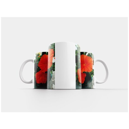 фото Кружка "гибискус, завод, зимний сад" 320 мл lotsprints