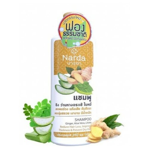 NARDA Шампунь для волос с имбирем, алоэ вера и литсеей 250 мл