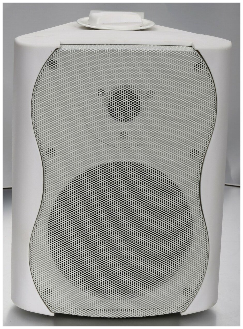 SVS Audiotechnik WS-40 White громкоговоритель настенный, динамик 6.5", драйвер 1", цвет белый