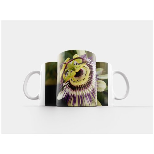 фото Кружка "цветок страсти, тычинки, лепестки" 320 мл lotsprints