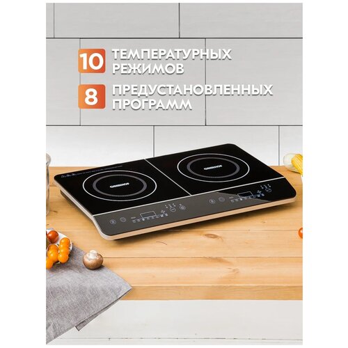Индукционная плита OBERHOF Paar S22 899000₽