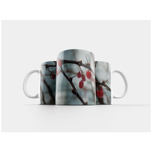 фото Кружка "барбарис, зима, фрукт" 320 мл lotsprints