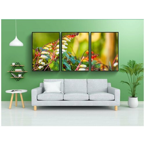 фото Набор модулных постеров для интерьера "звездные ветры, квамоклит лобата, цветок" 60x90 см. в тубусе, без рамки lotsprints