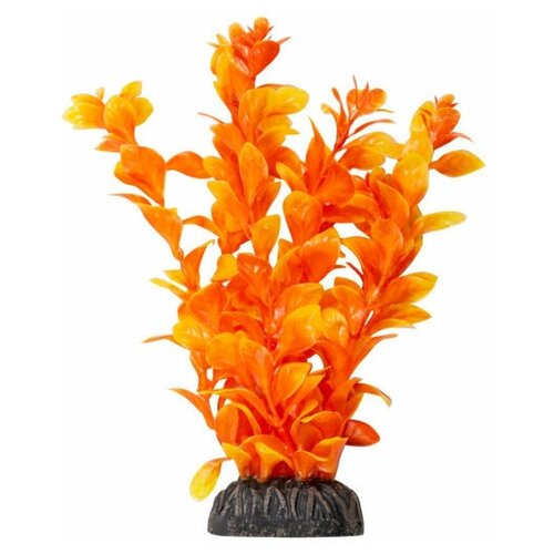 Растение Людвигия ярко-оранжевая, 500мм