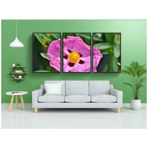 фото Набор модулных постеров для интерьера "пурпура ладанник, цвести, куст" 60x90 см. в тубусе, без рамки lotsprints