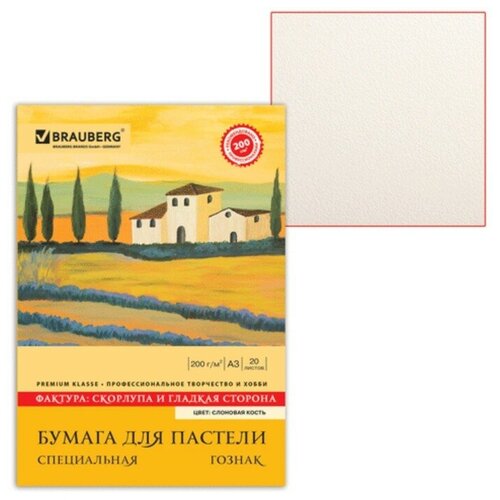Папка для пастели А3, 297 х 420 мм, 20 листов, тонированная бумага, слоновая кость, гознак Скорлупа, блок 200 г/м² папка планшет для пастели большого формата 297х420 мм а3 20 л тонированная бумага 4 цвета 200 г м2 склейка бабочка пб а3