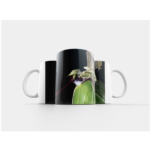 фото Кружка "бабочка, закрыть, макрос" 320 мл lotsprints