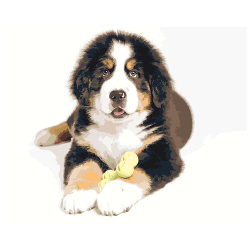 фото Картина по номерам, 60 x 75, z6257, "живопись по номерам", набор для раскрашивания, раскраска