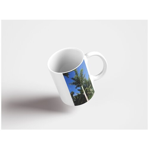 фото Кружка "пальмовый лес, декоративное дерево, новая зеландия 320 мл. белая lotsprints
