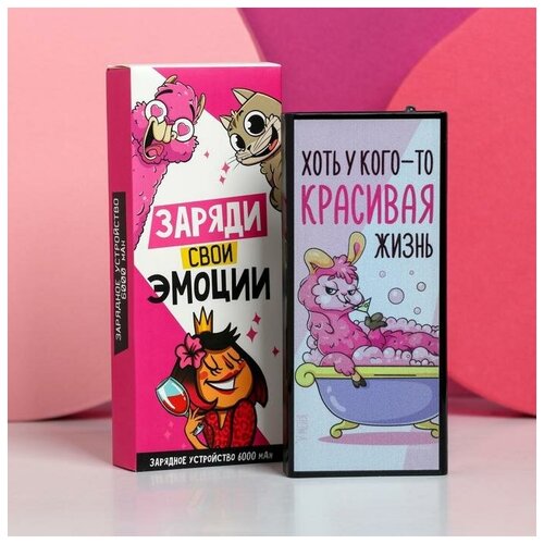 Зарядное устройство «Хоть у кого-то красивая жизнь», 6000 mAh, 6,2 х 14 см