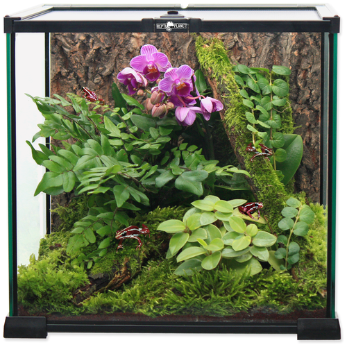 Террариум Repti Planet Glass Terrarium, 20×20×20 см