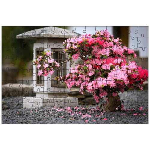 фото Магнитный пазл 27x18см."азалия, каменный фонарь, японский сад" на холодильник lotsprints