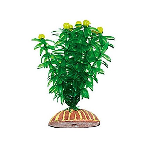 Растение Тритон пластмассовое 13 см 1335