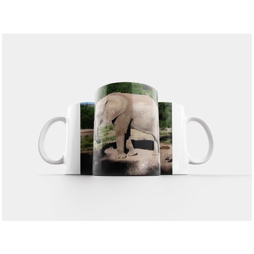 фото Кружка "слон, зоопарк, животное" 320 мл lotsprints