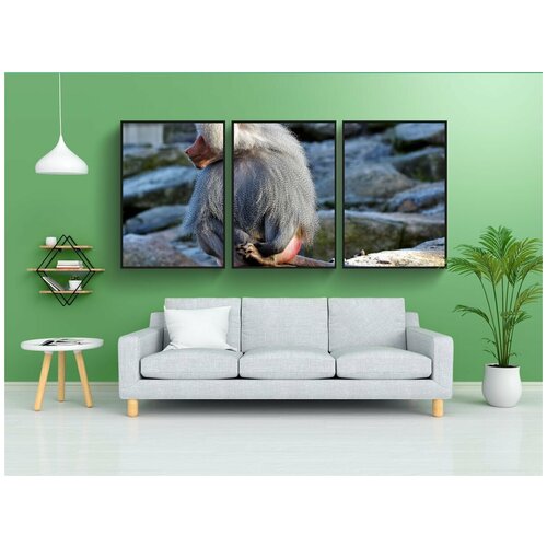 фото Набор модулных постеров для интерьера "бабуин, обезьяна, примат" 60x90 см. в тубусе, без рамки lotsprints