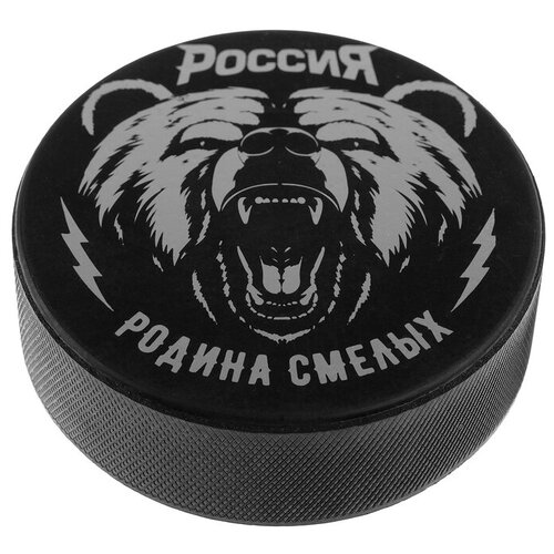 Шайба хоккейная взрослая «Россия», d=7,5 см, h=2,5 см, 170 г