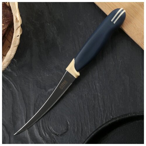 Труд Вача Нож кухонный «Мультиколор», овощной, лезвие 12 см, с пластмассовой ручкой, цвет синий