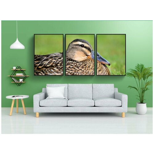 фото Набор модулных постеров для интерьера "утка, птица, водоплавающая птица" 60x90 см. в тубусе, без рамки lotsprints