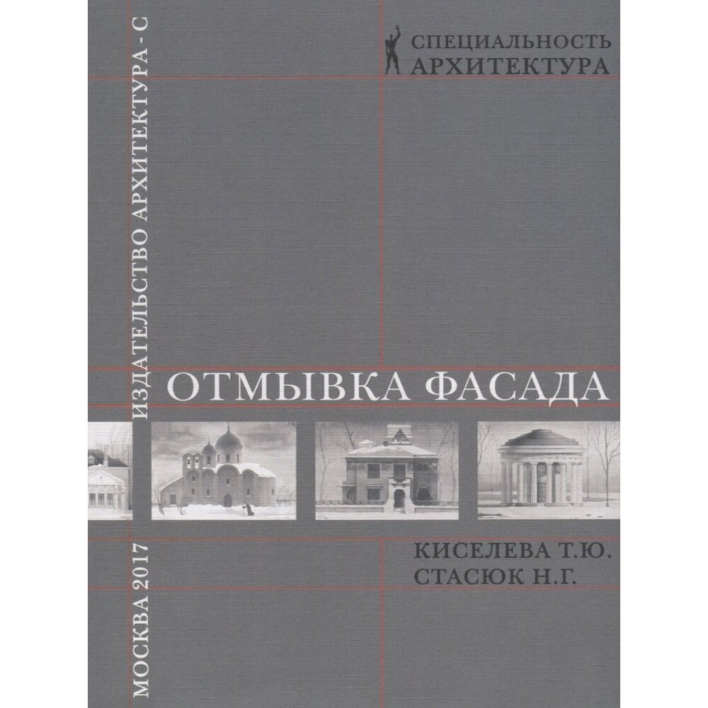 Отмывка фасада (Киселева Татьяна Юрьевна, Стасюк Наталия Георгиевна) - фото №3