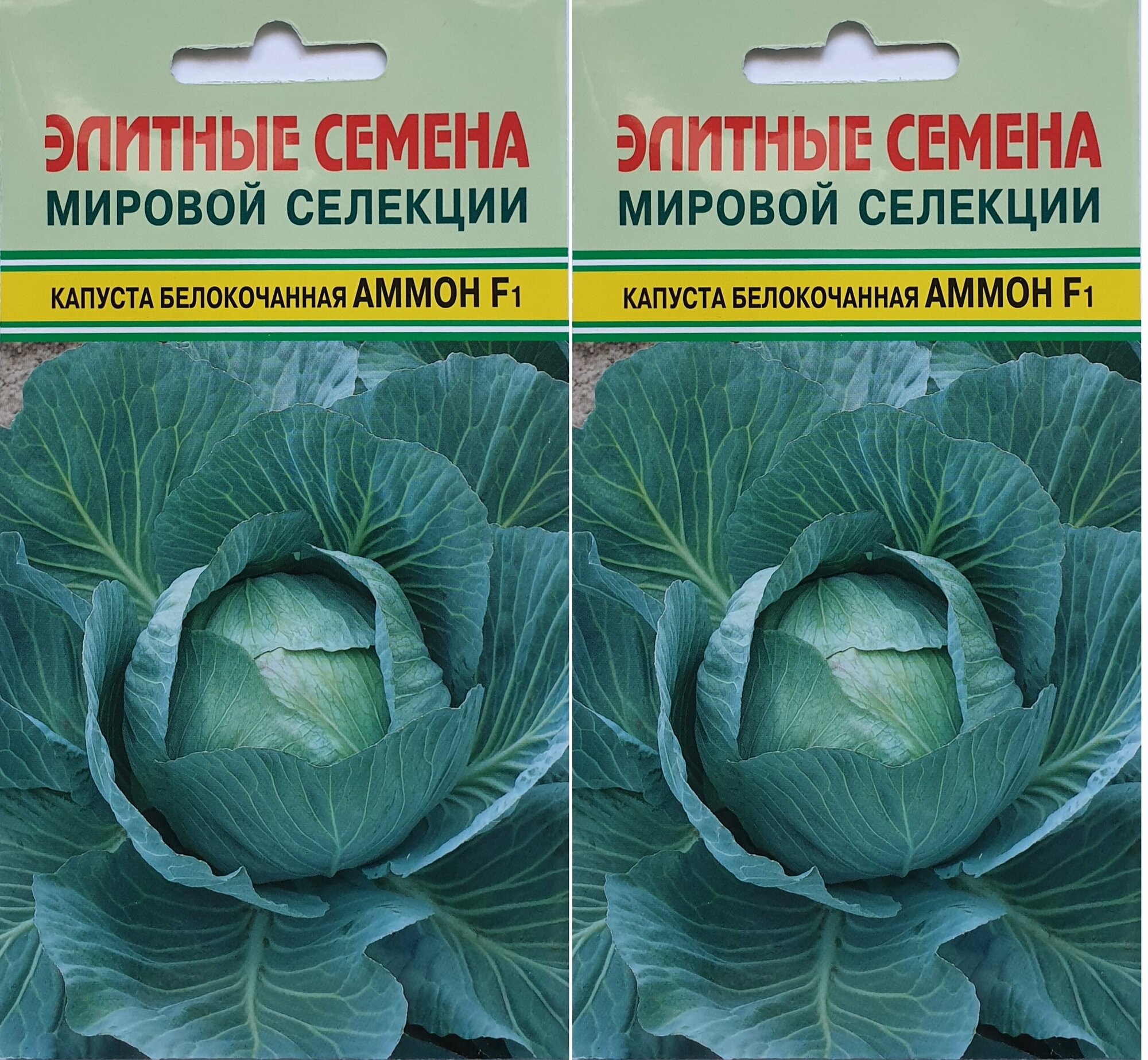 Капуста белокочанная аммон F1 2 упаковки по 15 семян Seminis популярная НЕ болеет!