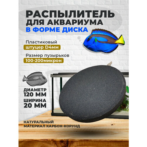 Распылитель воздуха корундовый диск 120мм