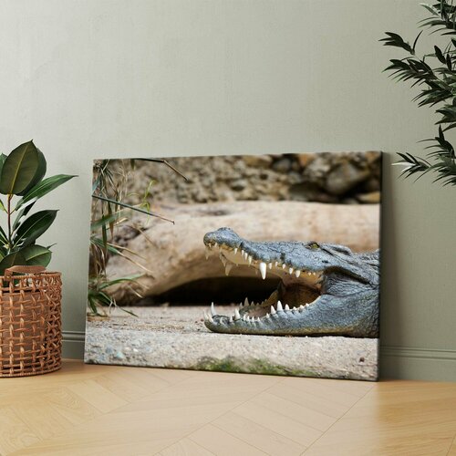 Картина на холсте (Крокодил с открытой пастью) 20x30 см. Интерьерная, на стену.