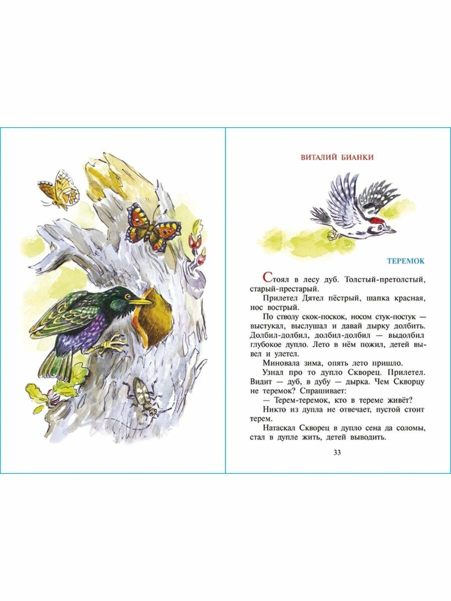 Книга Сказки из леса (Детская художественная литература) - фото №15