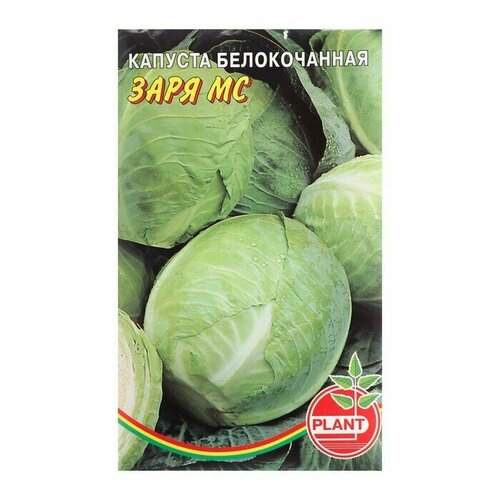 Семена Капуста белокочанная Заря мс, 0,07 г ( 1 упаковка )