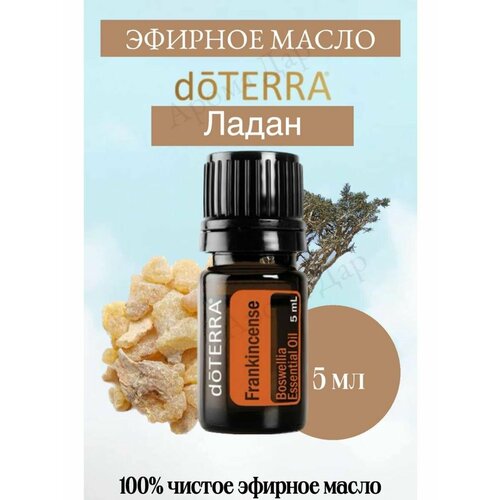 Эфирное масло Ладан, 5 мл масло эфирное elfarma ладан 5 мл