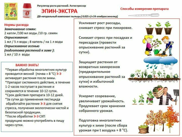 Эпин Экстра, 1 мл – стимулятор роста растений, всегда большой урожай — фото 1
