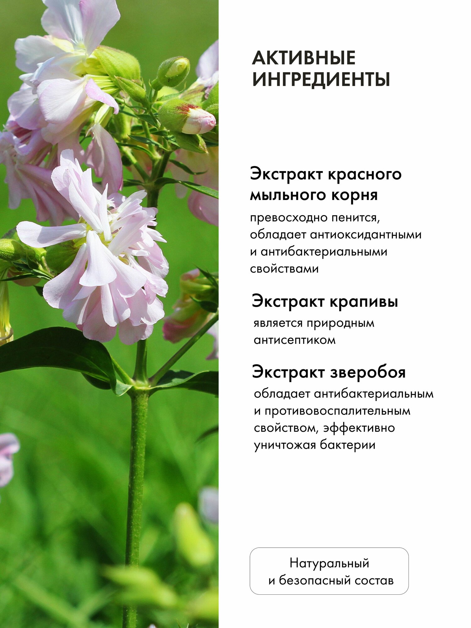 Хозяйственное мыло жидкое 12 в 1 Рецепты бабушки Агафьи Удивительное "Лимонно-горчичное" для уборки и стирки 2 литра — фото 1