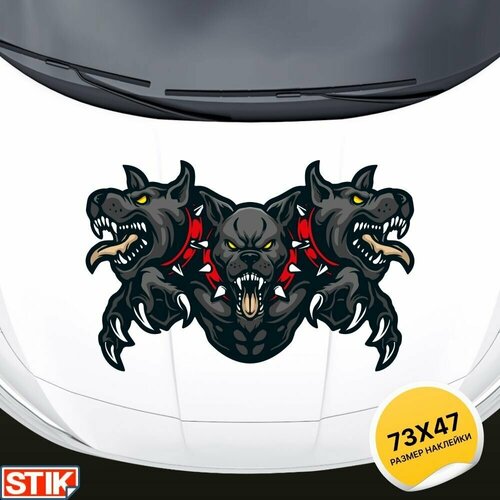 Наклейка на кузов, капот и двери авто 