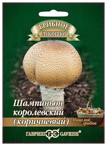 Семена гриб шампиньон 1 семя