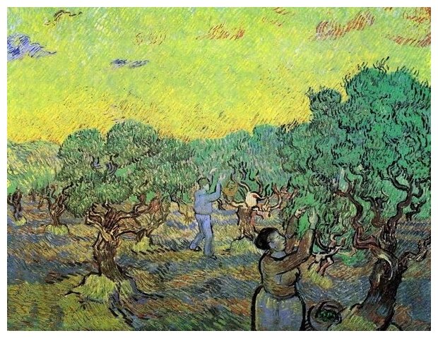 Репродукция на холсте Оливковая роща со сборщиками оливок (Olive Grove with Picking Figures) Ван Гог Винсент 52см. x 40см.