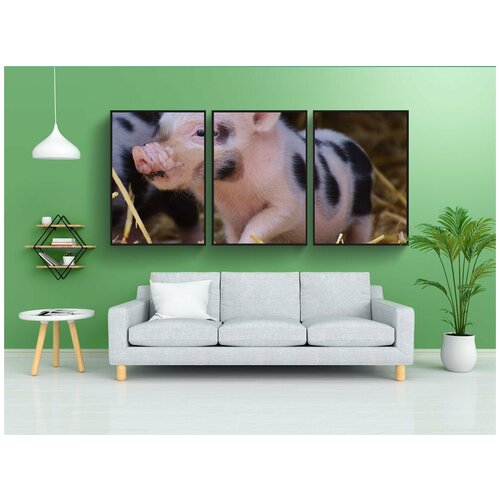фото Набор модулных постеров для интерьера "свинья, wildpark poing, младенец" 60x90 см. в тубусе, без рамки lotsprints