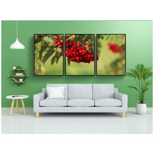 фото Набор модулных постеров для интерьера "рябина, ягода, дерево" 60x90 см. в тубусе, без рамки lotsprints
