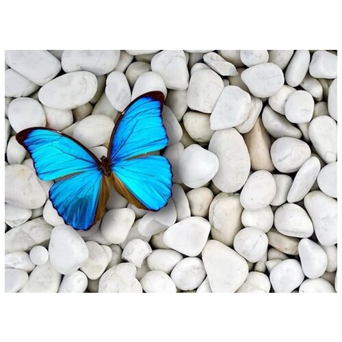 фото Набор алмазной мозаики "бабочка на камнях", размер 50х37 см, 40 цветов яркие грани