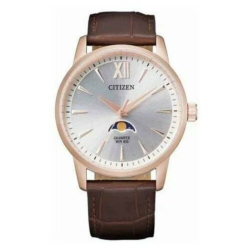 Наручные часы CITIZEN AK5003-05A, серебряный