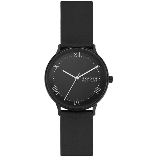 Мужские наручные часы Skagen SKW6623