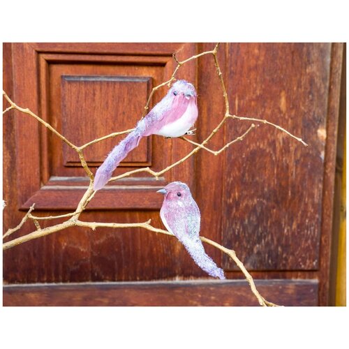 фото Набор ёлочных игрушек птички-неженки на клипсе, перо, розовый, 16 см, 2 шт., kaemingk 727081-розовый