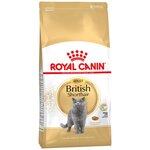 Корм для кошек породы британская короткошерстая, Royal Canin British Shorthair, 4 кг - изображение