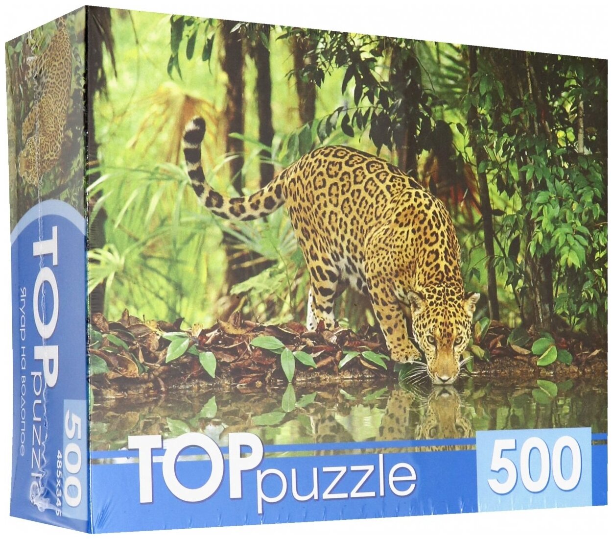 TOPpuzzle-500 "Ягуар на водопое" (КБТП500-6801) Рыжий кот - фото №2