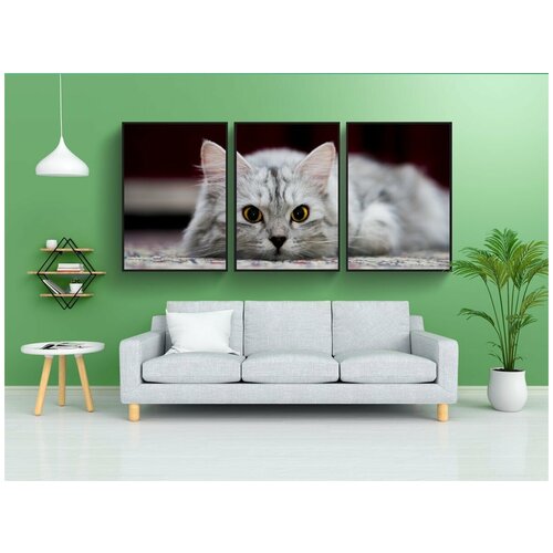 фото Набор модулных постеров для интерьера "кошка, животное, домашний питомец" 60x90 см. в тубусе, без рамки lotsprints