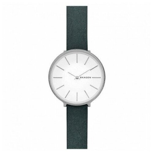 Наручные часы Skagen SKW2724