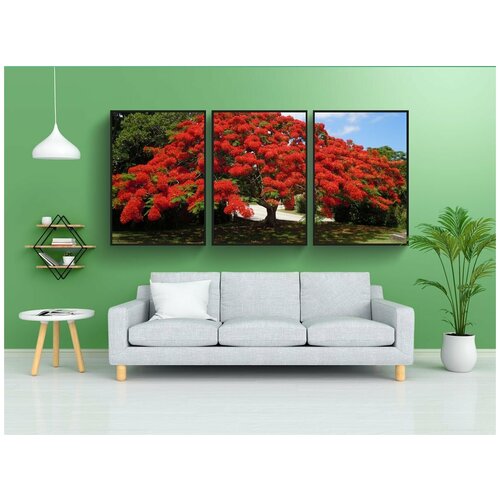 фото Набор модулных постеров для интерьера "цветущее дерево, poinsiana, бермуды" 60x90 см. в тубусе, без рамки lotsprints