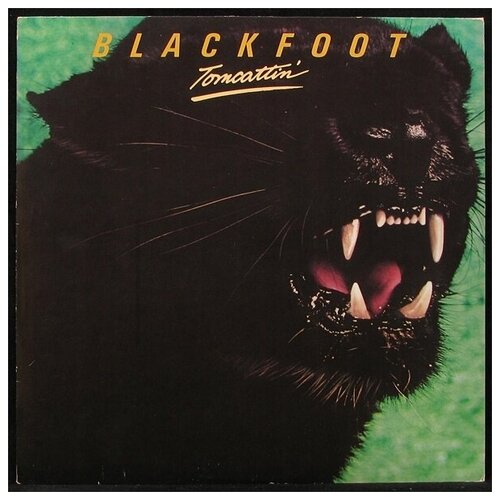 Виниловая пластинка ATCO Blackfoot – Tomcattin'