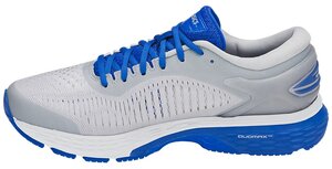 Asics kayano 25 2024 lite show mens