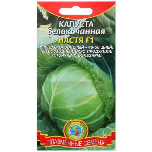 Семена Капуста б/к Настя F1, 0,1 г семена капуста б к настя f1 р северяне 0 1 г 3 упак